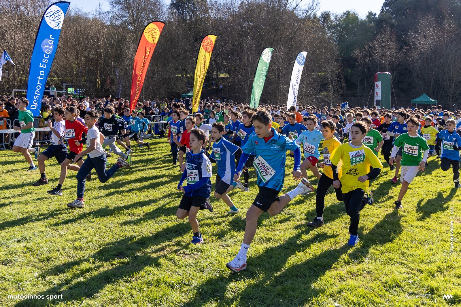 Corta Mato Escolar 2024/2025
